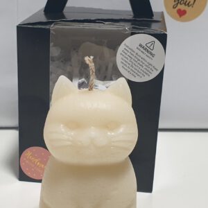 Katze